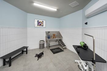 Community dog park & spa